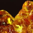 Ambrata