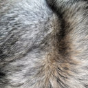 Animale