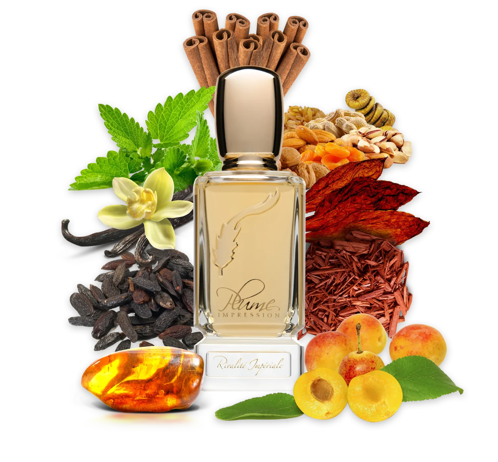 rivalite-imperiale-sayhar-2